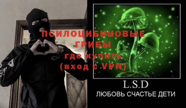 крисы Дмитровск