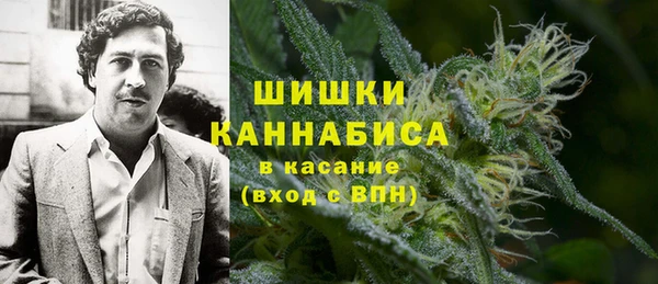 крисы Дмитровск